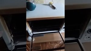 Газовая плита Брест как зажечь духовку и почему она гаснет или не загорается.для чего красная кнопк