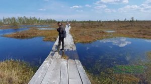 Болото Ельня. Экотропа