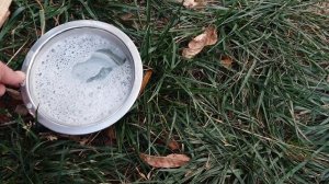 Простая и Эффективная Ловушка Для Ос