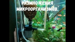 самодельный эффективный биофильтр для аквариума