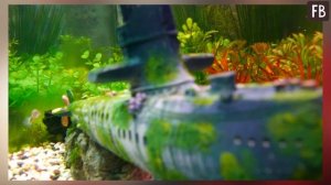 Простой способ избавиться от рыбной косточки, застрявшей в горле