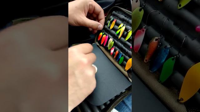 Рыбалка на пассивную форель смотреть онлайн