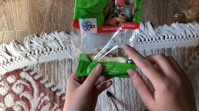 Все лакомства моей собаки Евы смотреть онлайн