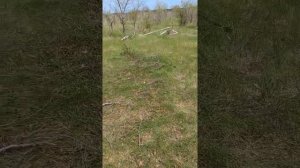 дача с нуля, вторая серия. фундамент для бытовки. купил участок, с чего начать. дачные дни.