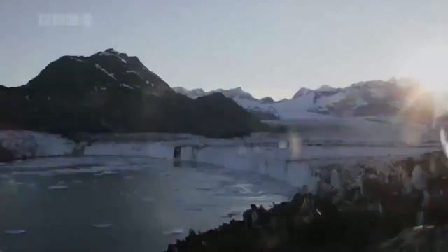 Чудеса природы смотреть онлайн