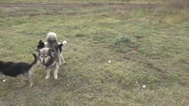 ДЕДУШКА МАТВЕЙ И АЛЕКСЕЙ!!! смотреть онлайн