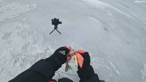 КРУПНЫЙ СУДАК с 25 МЕТРОВ соблазнился на ЭТОТ РАТЛИН. НОЧУЕМ на льду в КАМСКОМ УСТЬЕ