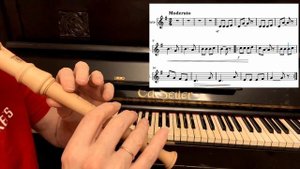 М.Иорданский «Песенка про чибиса» пьеса 8 из школы игры на блок флейте И.Пушечникова