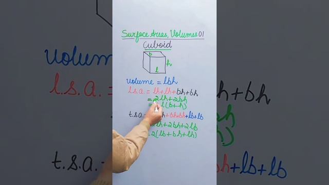 01 l Volume of Cuboid = l*b*h l l Lateral Surface Area of Cuboid = 2*h (l + b) l