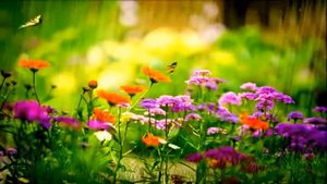 Ну вот и смерть   Али Абдулсалимов