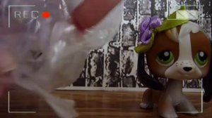 LPS: UNBOXING  #1