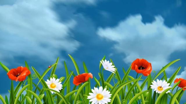 ФУТАЖ ВИДЕОФОН НЕБО И МАКИ ДЛЯ ВИДЕОМОНТАЖА !!