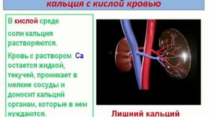 Бублик о здоровье!!!!!!! СМОТРЕТЬ ВСЕМ !!!!!!