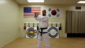 Taekwondo: White Belt Techniques