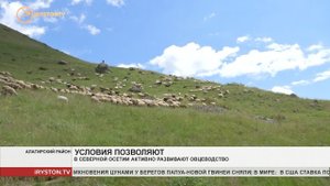 В Северной Осетии активно развивают овцеводство