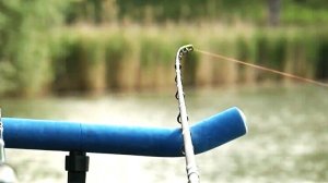 НАЛОВИЛ ЦЕЛОЕ ВЕДРО! ЛЕЩ И ГУСТЕРА НА ФИДЕР! Рыбалка на фидер ранней весной!