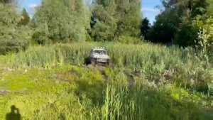 нива на ободрышах