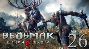 Ведьмак 3: Дикая Охота (The Witcher 3: Wild Hunt) . СКЕЛЛИГЕ #26