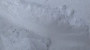 Влог - Зимний шашлык - Буран "Ваня" и его последствия