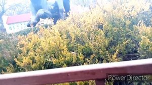 Достопримечательности города Николаев 2часть ????????