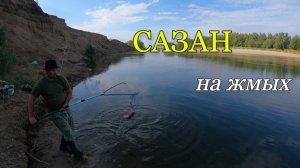 Ловим САЗАНА на жмых.Рыбалка с ночевкой в прилове СОМИК и несколько САЗАНОВ.