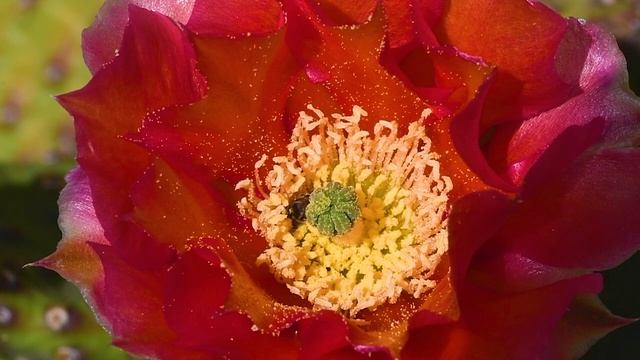 лучшая музыка? поможет снять усталость от стресса, успокоит нервную систему радует душу #9 смотреть онлайн