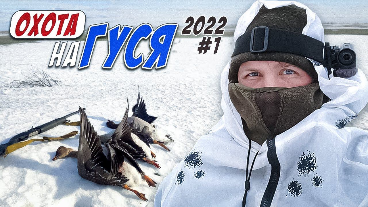 охота на гуся 2022! саратовская область часть первая смотреть онлайн