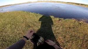 Рыбалка 2022 Рыбалка кастинговой сетью на реке Кастинговая сеть как забрасывать Караси и судаки ест