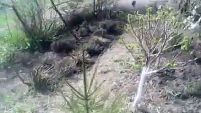 ДАЧА 10-4-2022 3. смотреть онлайн