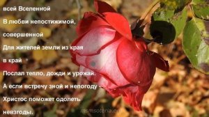 Благодарность Богу. Стихи благодарения ?