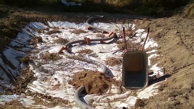 Создание искусственного болота на участке | Срелёнки