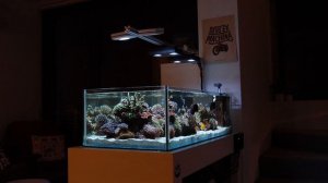 Wonderful Australian SHALLOW REEF TANK *saltwateraquarium* - 300 Liters