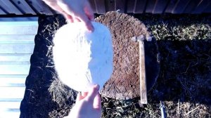 ▲ДЕЛАЕМ МАСКУ АНОНИМУСА ИЗ БУМАГИ ПОЕХАЛИ))▲