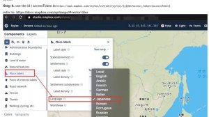 GIS: Specify language for mapbox tiles in leaflet (2 Solutions!!)