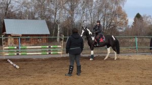 Тренировка по конкуру (Школа верховой езды "Династия").