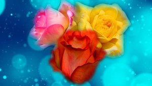 Футаж. Цветочный фон 91