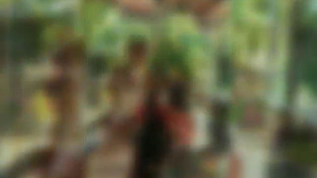 Моя любимая семья смотреть онлайн