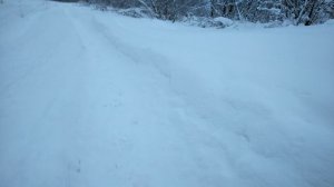 крайний север республика коми ижемский район замело снега в лесу по колено за два дня 7 4.01.2023 г