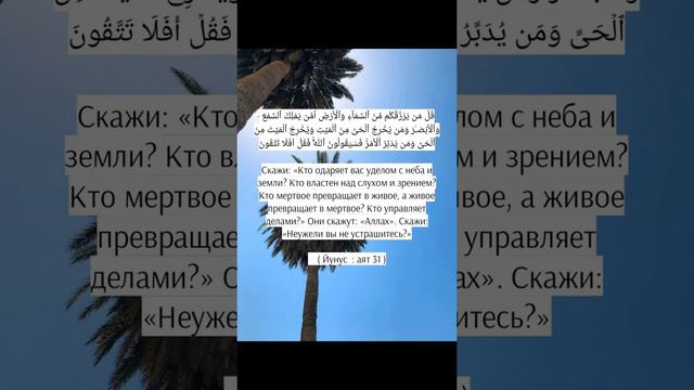 Скажи: «Кто одаряет вас уделом с неба и земли? Кто властен над слухом и зрением? Сура 10, аят 31.