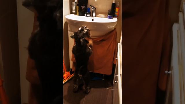 Как успешно начать день
