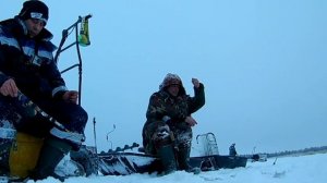 зимняя рыбалка Архангельск Сафроновская губа
