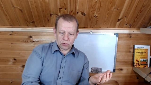 С пасеки не заработать. Пчеловодство как хобби и пчеловодство как бизнес - как объединить.