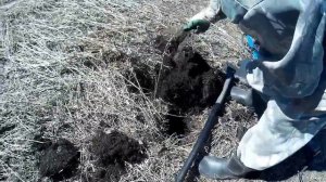 Металлокоп в лесополосе Башкортостана. 75 лет победы посвящается!!! Результат на 5.