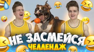 10 МИНУТ СМЕХА|НЕ ЗАСМЕЙСЯ ЧЕЛЛЕНДЖ-ТЕСТ НА ПСИХИКУ ЧЕЛЛЕНДЖ