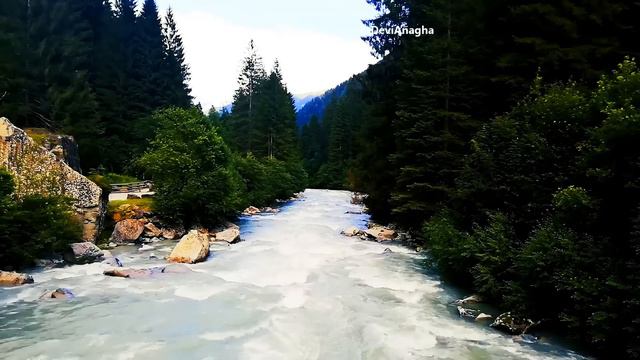 Flute music relaxing Krishna | meditation music relax mind body | Morning Flute *337 смотреть онлайн