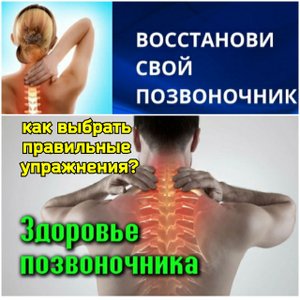 Кровоснабжение спинного мозга зависит от 3-х слоёв мышц спины. Как правильно укреплять позвоночник?