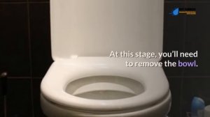 Tips for Retrieving Items Flushed Down the Toilet