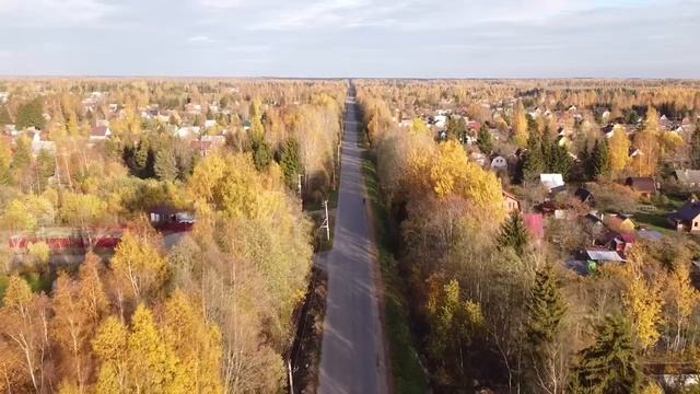 Садоводческий массив Мшинская, осень