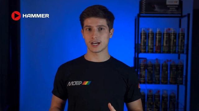 Аэрозольное защитное средство на основе стокгольмской смолы «Tar spray» Motip - Краткий обзор смотреть онлайн