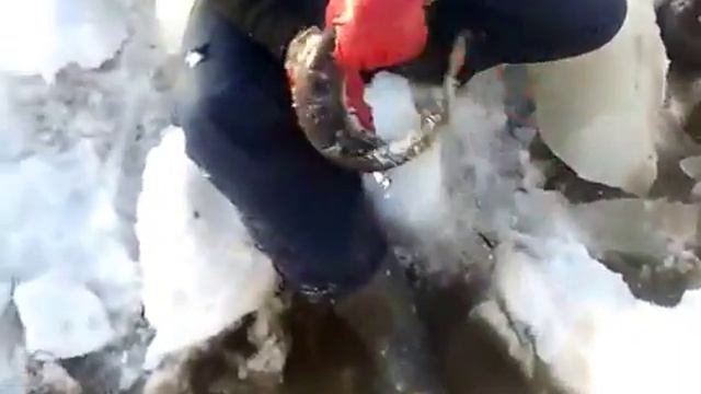 Рыбалка на пассатижи! смотреть онлайн